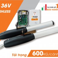 Motor cánh tay đòn cổng mở xoay tự động Roger Smarty 5